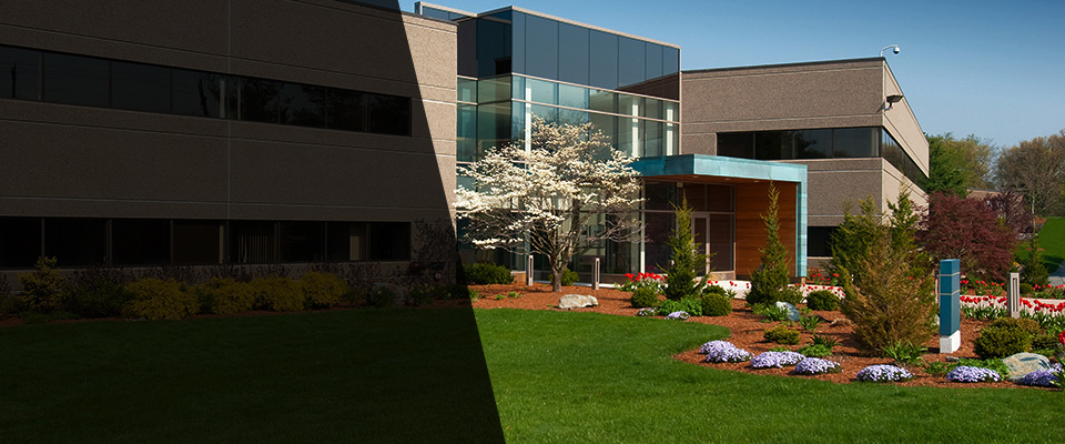 Galveston Landscapers