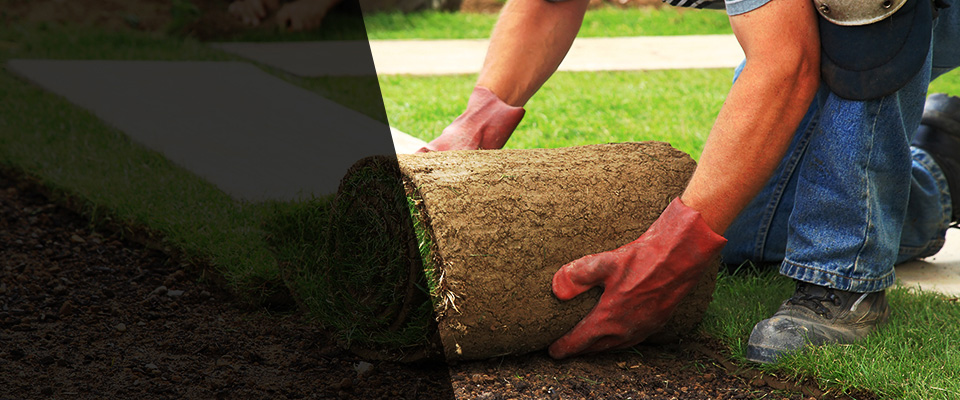 Galveston Landscapers